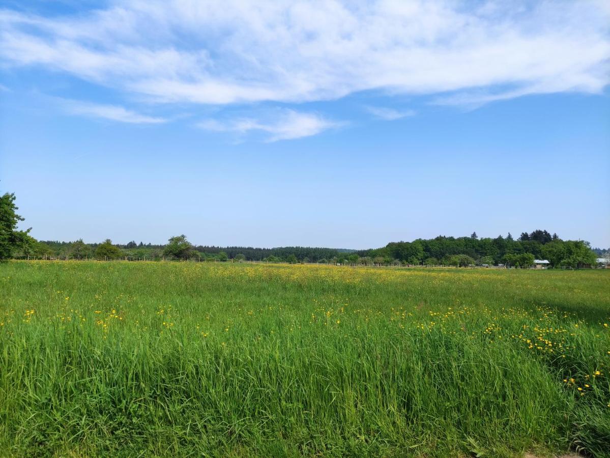 Fewo Albtaleck - Wohnen Im Kurort Waldbronn Eksteriør billede